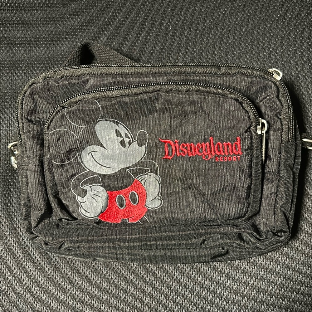 Disneyland crossbody bag